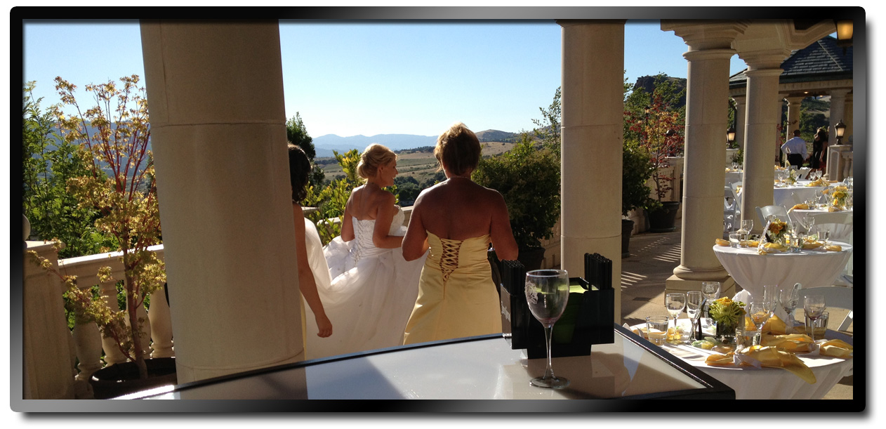 Wedding Bartender