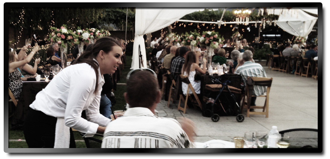 Wedding Bartender